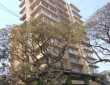 4 BHK Penthouse For Rent At Seasons Residency, Willingdon, Santacruz West.