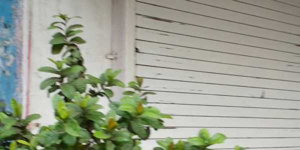 300 sq ft kitchen space or Shop available at Bandra near Union Park at Chuim 