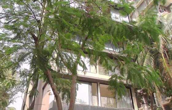 Sale 2 Bhk, 804 sft, Santacruz W, Nutex, Saraswat Colony.