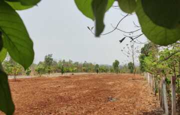 Murbad Plots for Homes in Green Plot Development