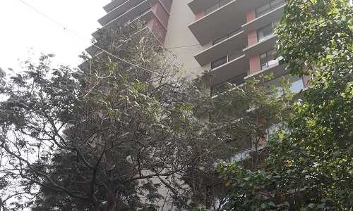 3 BHK Apartment For Rent At Florence Apartment, Khar West.