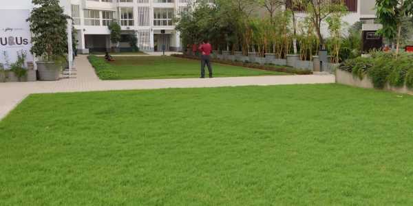 1 BHK Beautiful Furnished &amp;amp;amp;amp; White Goods Apartment For Rent At The Trees, Vikhroli.