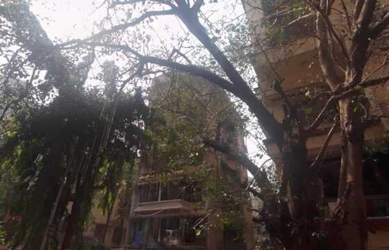 Rent 2 Bhk in Khar W, 13 Rd, Himmat Ghar.