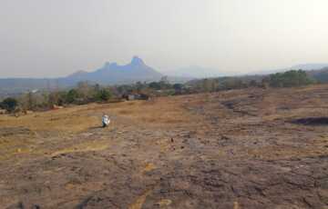 LAND ACTUAL PHOTO