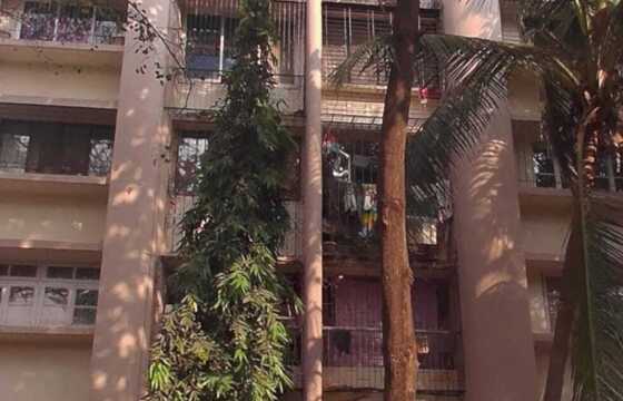 Rent F/F 3 Bhk, 1100 sft, in Andheri W, 7 Bungalow, Uphar Chs.