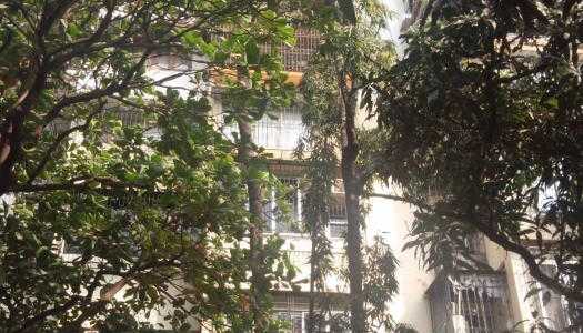 3 BHK Apartment For Rent At Pali Hill, Bandra West.