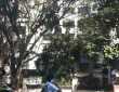 3 BHK Apartment For Rent At Juhu Tara Road, Juhu Koliwada.