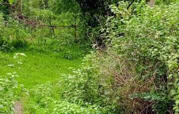 63 Guntha Prime Road-Touch Plot for Sale in Arjunli, Shahapur