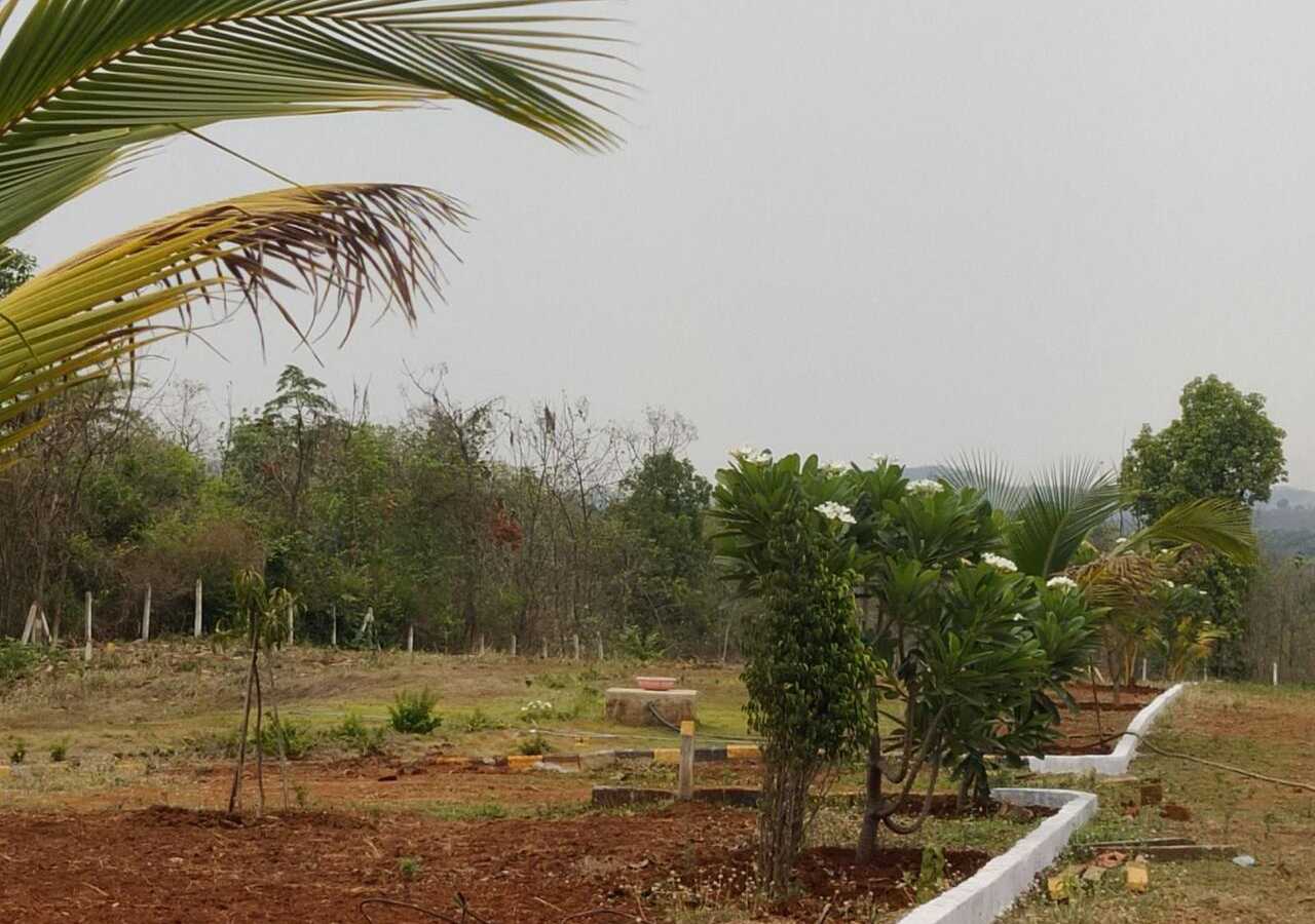 Land