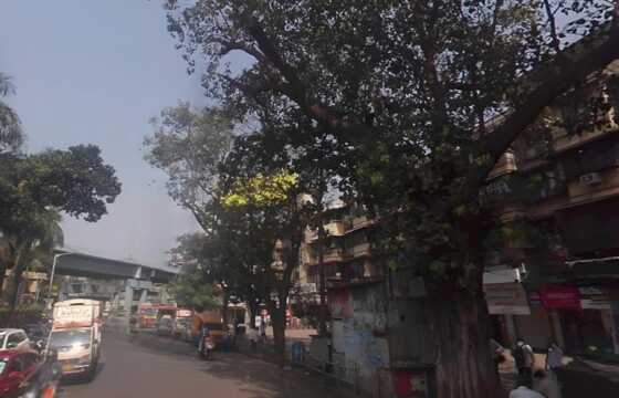Rent 745 sft Shop with Mezzanine at Sion circle.