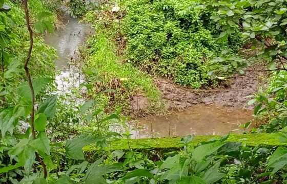 63 Guntha Prime Road-Touch Plot for Sale in Arjunli, Shahapur