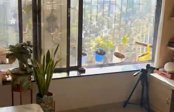 Rent Furnished 1 Bhk in Andheri W, Lokhandwala, Link Garden Tower.