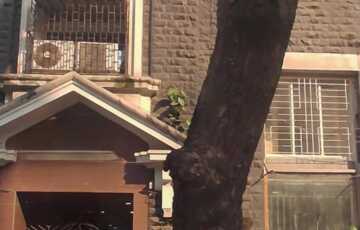 Rent 1090 sft Office in Fort, Ballard Estate, Old Custom House Rd