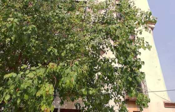 Sale 2 Bhk, 800+ sft, in Andheri W Oshiwara, Yashodeep Tower.