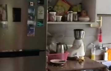 Rent Furnished 2 Bhk in Andheri W, 7 Bungalows, Trishul Building.