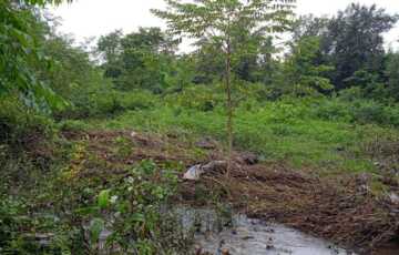 63 Guntha Prime Road-Touch Plot for Sale in Arjunli, Shahapur