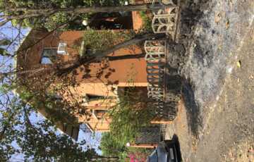 Plot view
