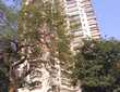4 BHK Apartment For Sale At Jolly Highrise, Bandra West.