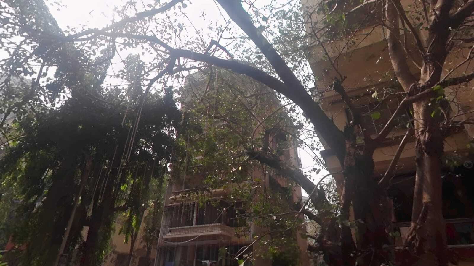 Himmat Ghar, Khar West