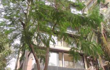 Sale 2 Bhk, 715 sft, Santacruz W, Nutex, Saraswat Colony.