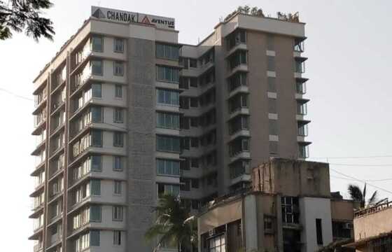 Rent, 2.5 BHK in Juhu, JVPD Scheme, Gulmohar Rd, Ideal 49.