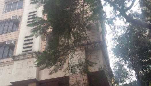 3 BHK Apartment For Rent At St Theresa Road, Bandra West.