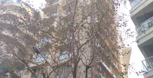 2 BHK Apartment For Sale At 14th Road, Khar West.