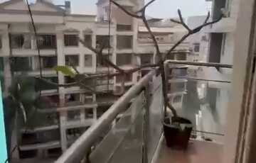 Rent Furnished 3 Bhk in Juhu, Gulmohar Cross Rd.