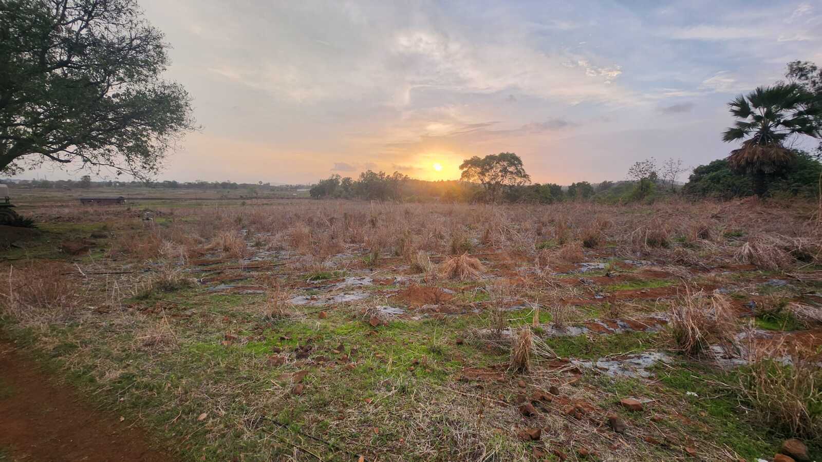 Distress Sale 36 acre land Wada, Thane, with breathtaking sunset and mountain view