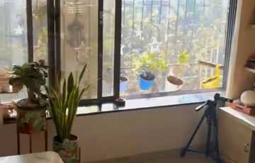 Rent Furnished 1 Bhk in Andheri W, Lokhandwala, Link Garden Tower.