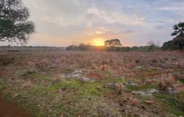 Distress Sale 36 acre land Wada, Thane, with breathtaking sunset and mountain view
