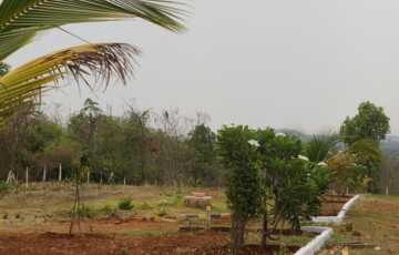 Land