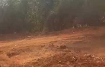 2 Acres Farm House Land in Mulshi for Sale Lake Touch, Lake View