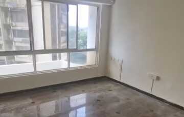 Large Windows