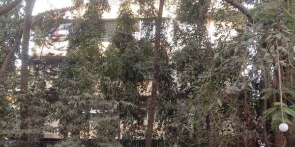 3 BHK Apartment For Sale At Phirozshah Mehta Road, Santacruz West.