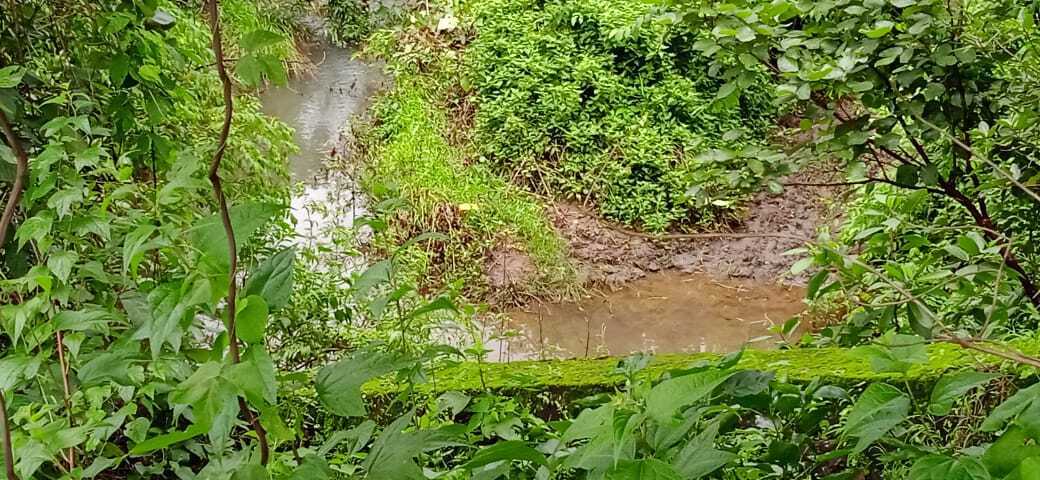 63 Guntha Prime Road-Touch Plot for Sale in Arjunli, Shahapur