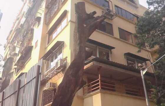 Sale 3 Bhk, 1500+ cpt, in Khar W, Laxmi Niwas, 16th Rd.