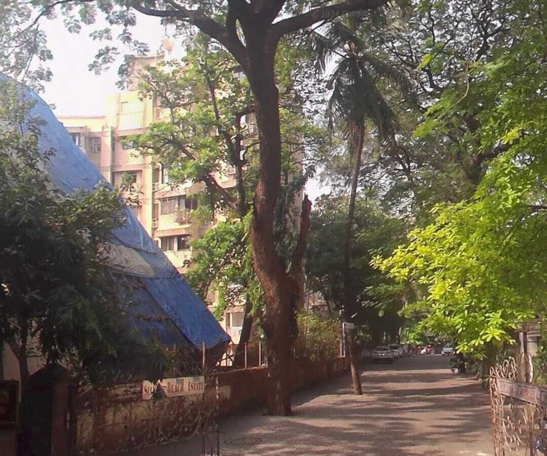 Greenfield, Juhu