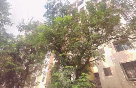 Sale 1 Bhk, 540 sft, in Andheri W, Sundervan Complex, Sterling Apt.