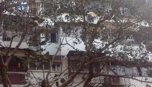 1 BHK Apartment For Sale At Hasmukh Nagar, Santacruz West.