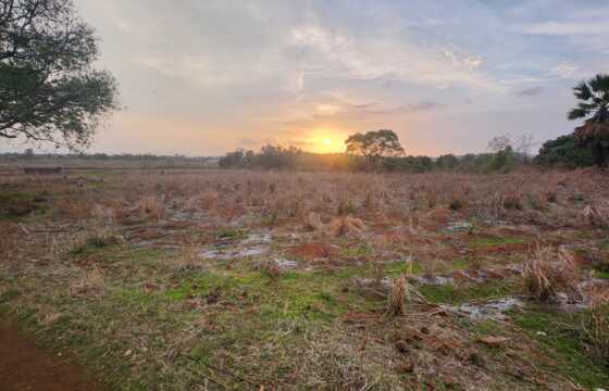 Distress Sale 36 acre land Wada, Thane, with breathtaking sunset and mountain view