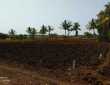 4200 sq. mtrs Agriculture Land for sale in 5 star MIDC