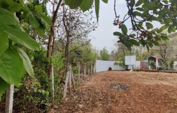 Plots in Murbad for Homes in Greenery