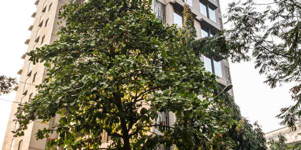 3 BHK Apartment For Sale At Vaswani 36AB, Pali Village, Khar West.