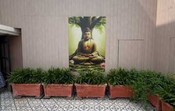 Yoga Area