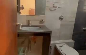 Rent Furnished 3 Bhk in Juhu, Gulmohar Cross Rd.