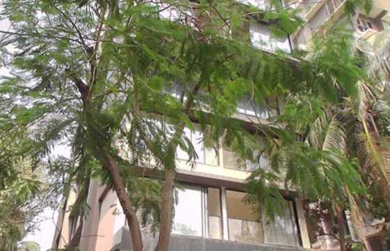 Sale 2 Bhk, 715 sft, Santacruz W, Nutex, Saraswat Colony.