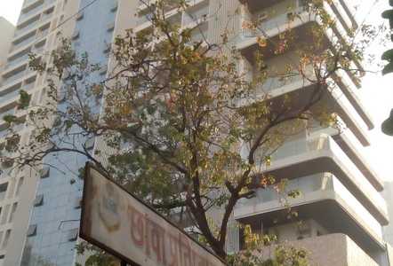 3 BHK Apartment For Sale At Suvidha Emerald, Prabhadevi.