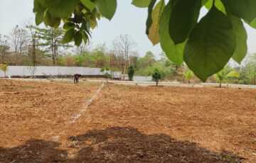 2000 to 6000 sqft Plots in Green Development