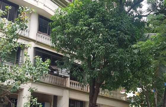 Rent Furnished 3 Bhk in Khar W, 8th Rd, Prima Apartment.